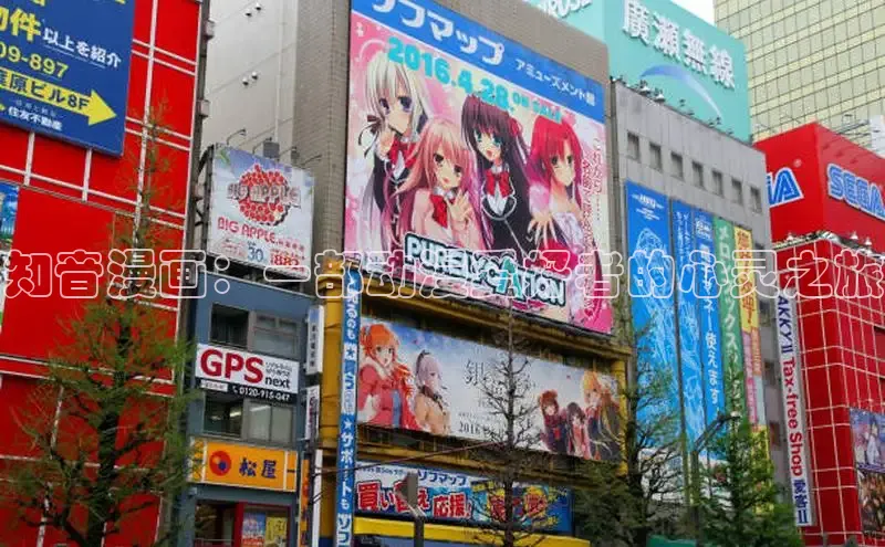 知音漫画：一部动漫爱好者的心灵之旅